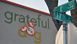 Grateful Dog 17th and E Street