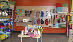 Grateful Dog retail space
