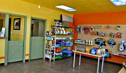 Inside Grateful Dog