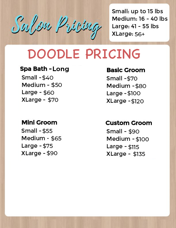 Doodle Pricing